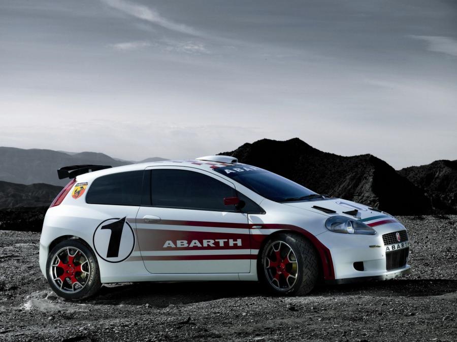  Abarth Grande Punto S2000 (199) 2007 года  (фото 15 из 25)
